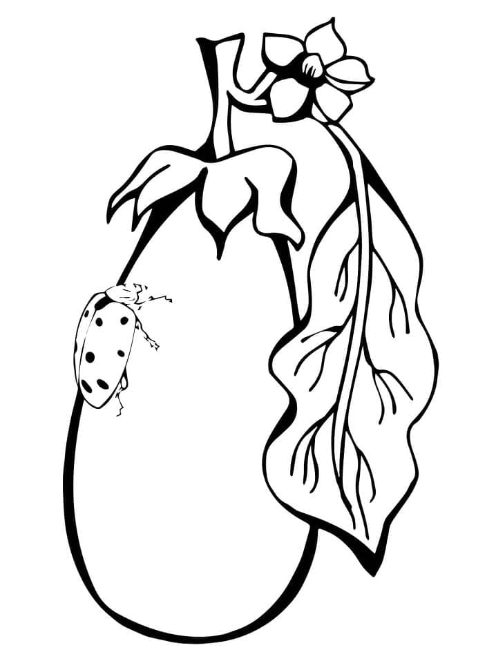 Melanzana Stampabile Libera da colorare