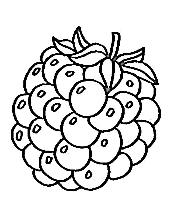 Mora per bambini di 5 anni da colorare