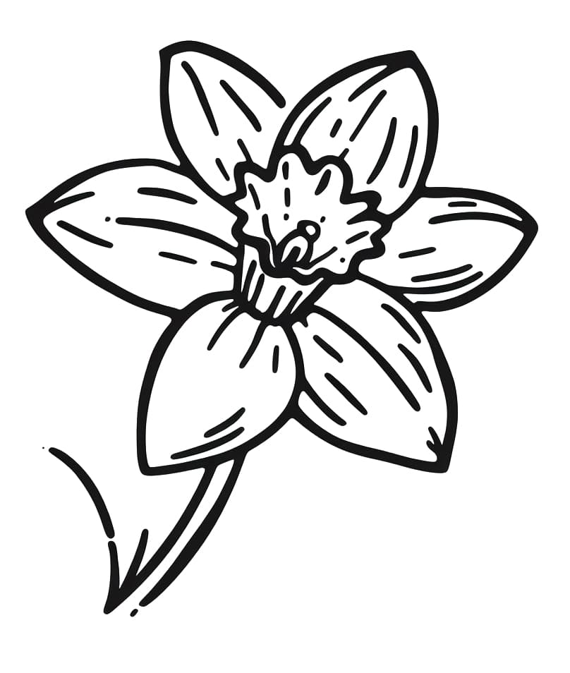 Narciso per Bambini di 3 Anni da colorare