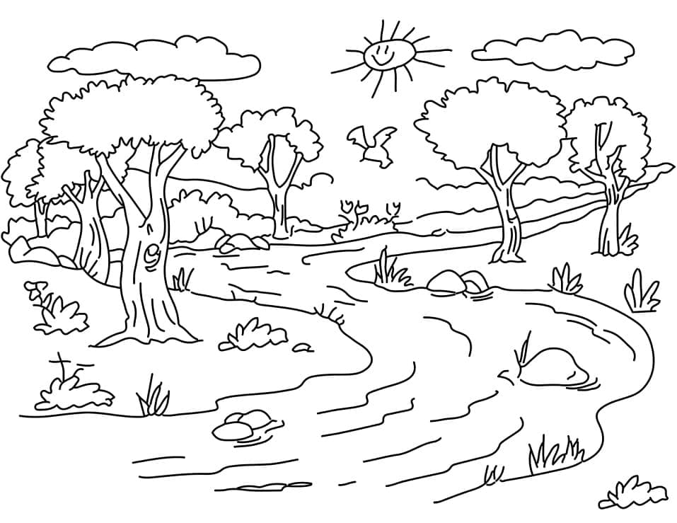 Nella Foresta da colorare