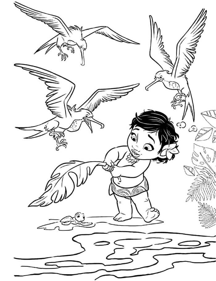 Oceania per Bambini di 6 Anni da colorare