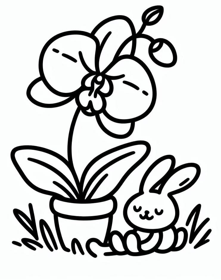 Orchidea per Stampare da colorare