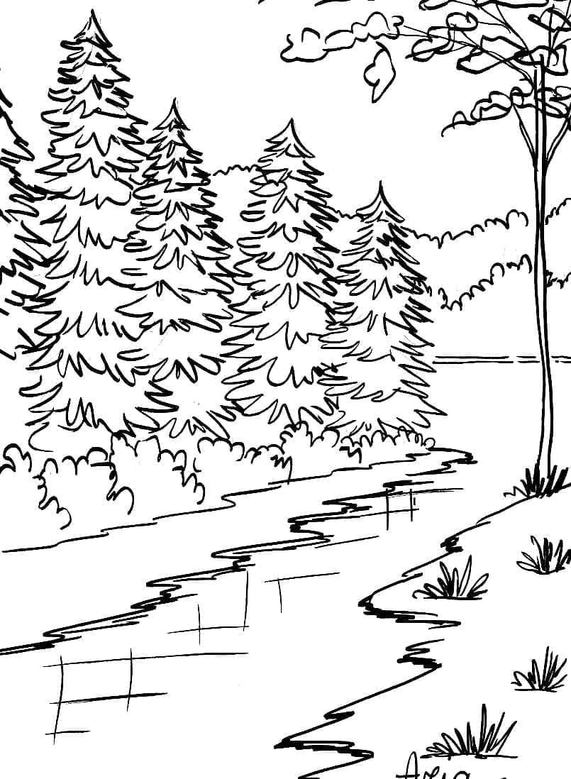 Paesaggio per Bambini di 6 Anni da colorare
