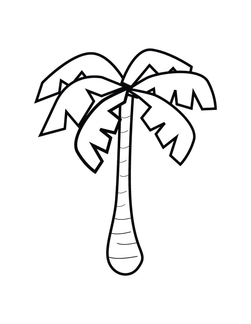 Palma (6) da colorare