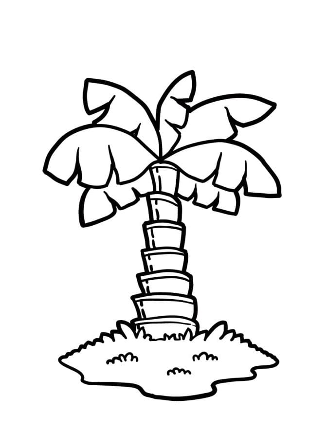 Palma Base da colorare