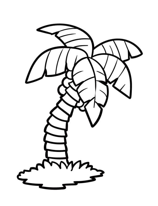 Palma Facile da colorare