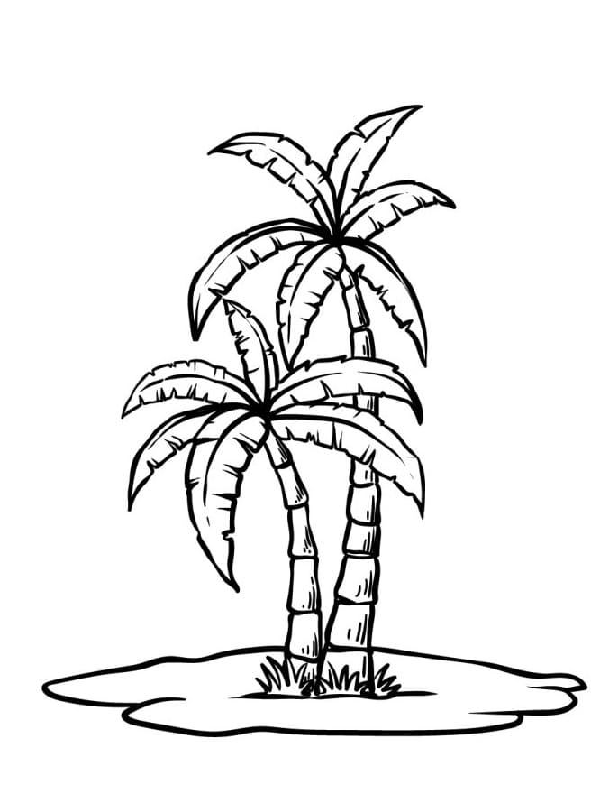 Palma Grande da colorare