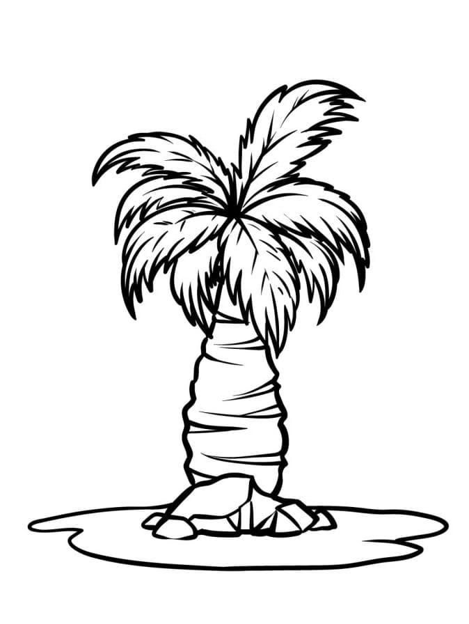 Palma Gratuito da colorare