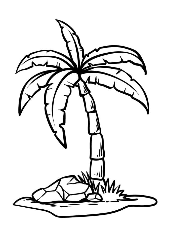 Palma Verde da colorare