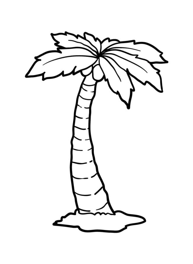 Palma a Costo Zero da colorare