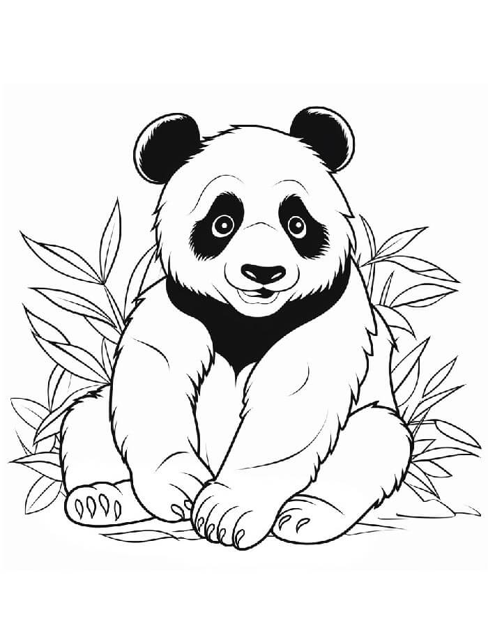 Panda Stampabile per Bambini da colorare