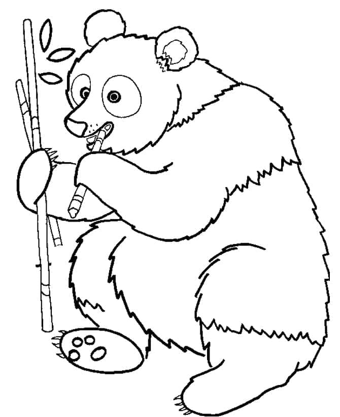 Panda da Stampare da colorare