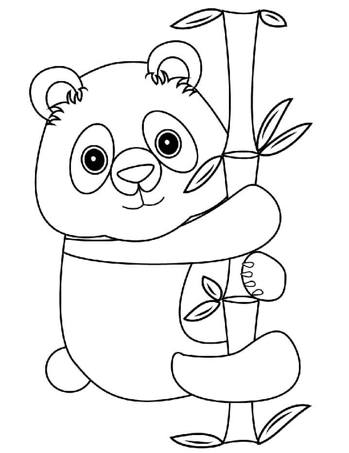 Panda per Bambini di 6 Anni da colorare