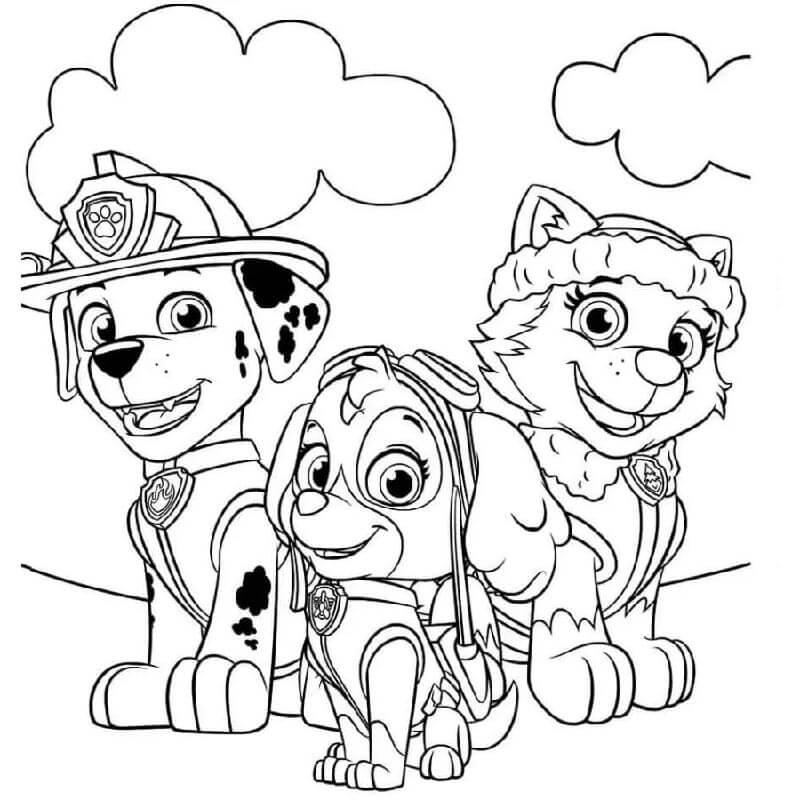 Paw Patrol (2) da colorare