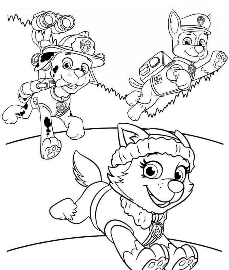Paw Patrol (3) da colorare