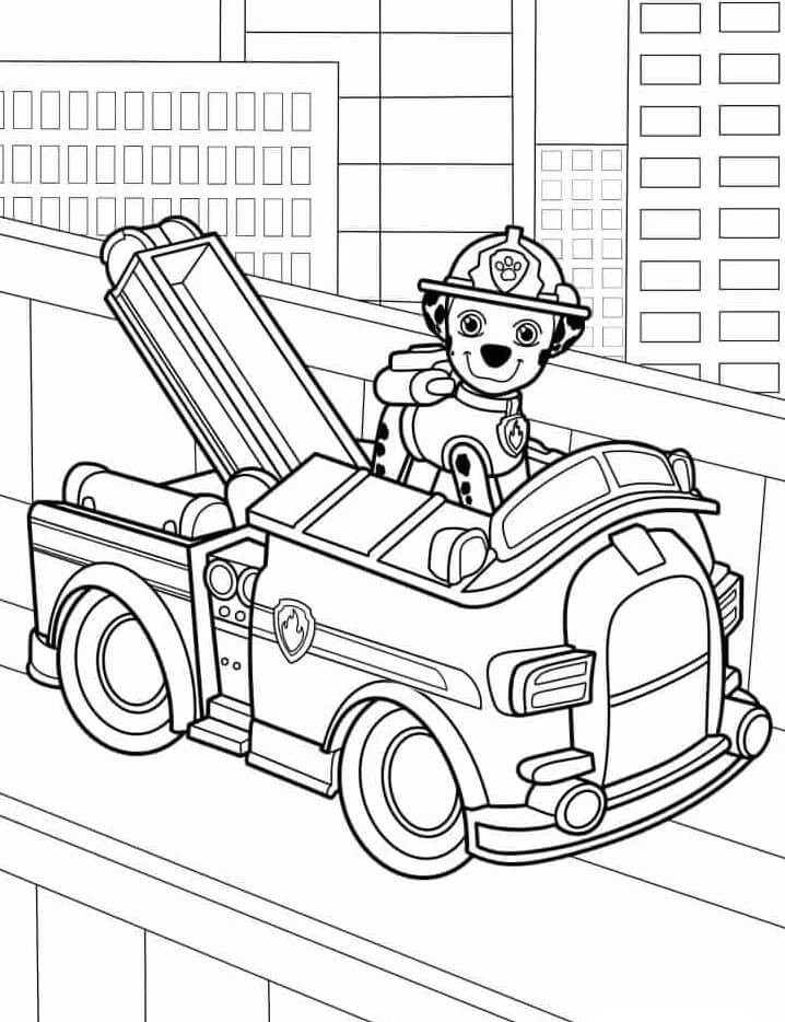 Paw Patrol per Bambini di 3 Anni da colorare