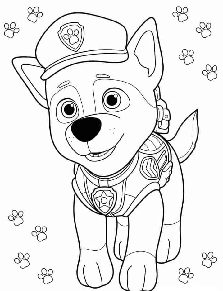 Paw Patrol per Bambini di 6 Anni da colorare