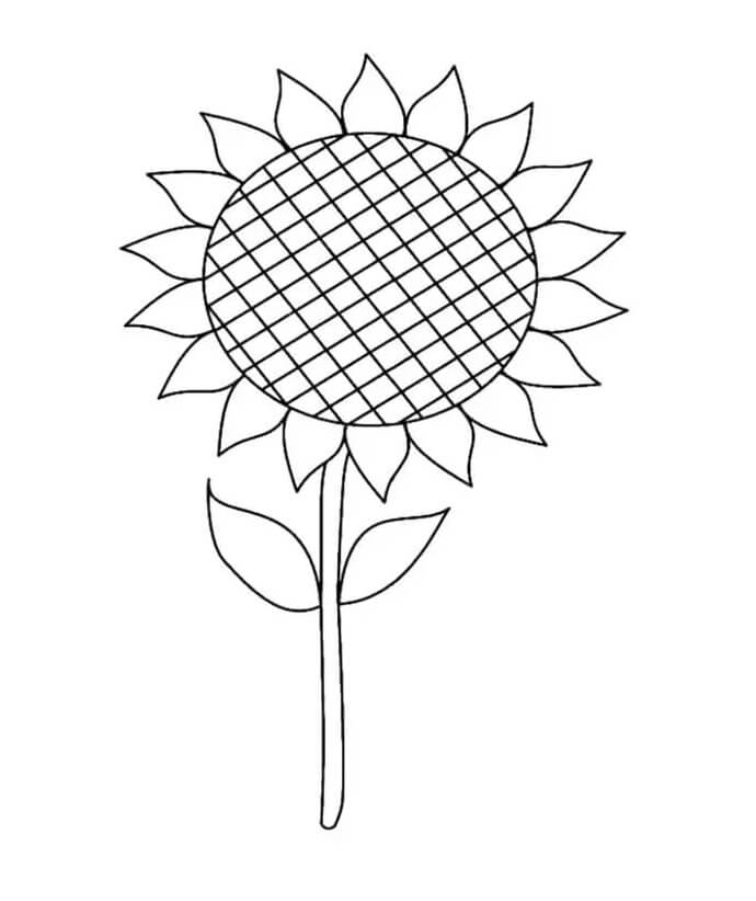 Piccolo girasole da colorare