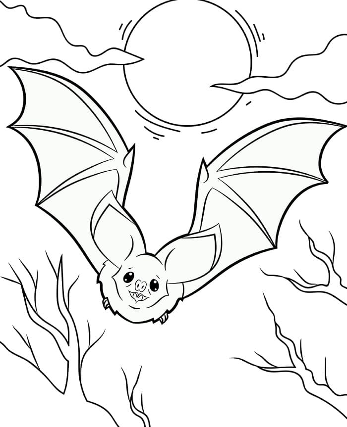 Pipistrello Animato da colorare