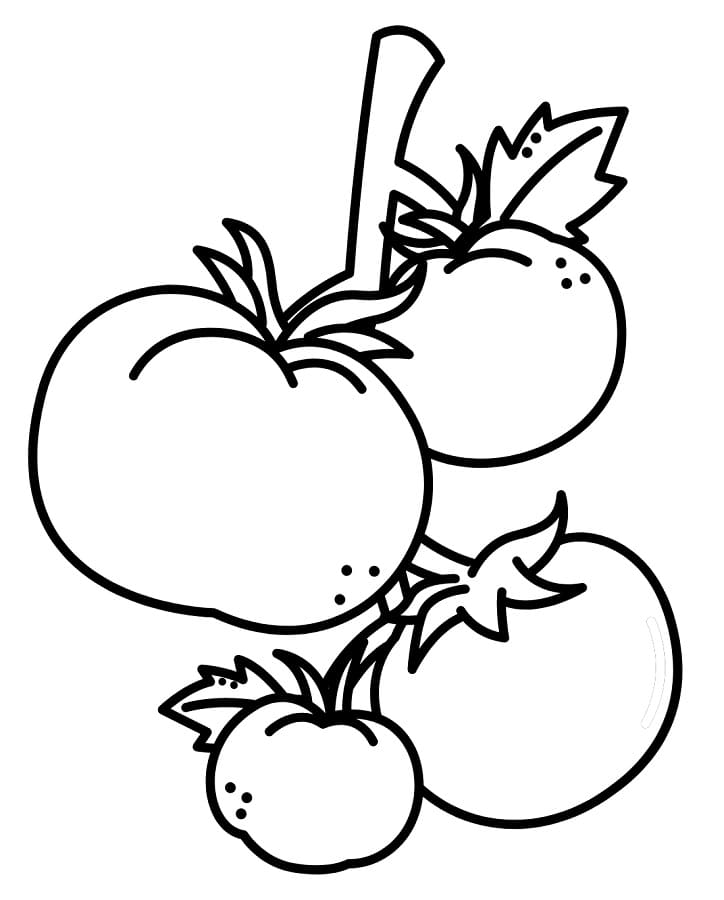 Pomodoro Normale da colorare