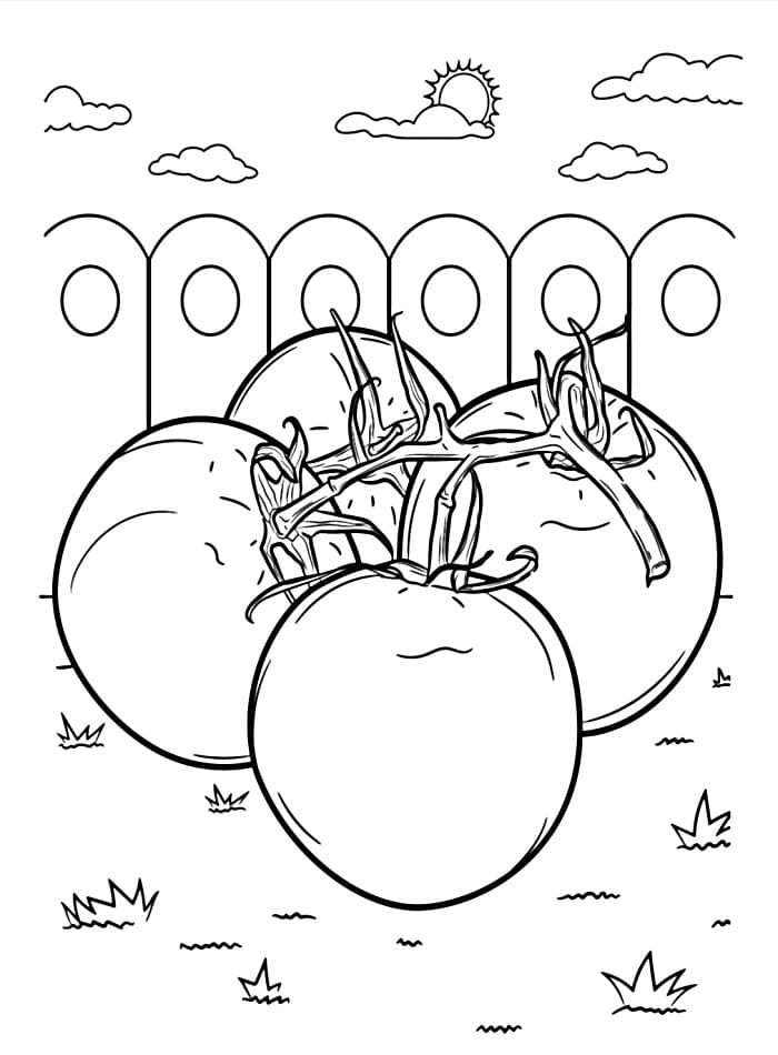 Pomodoro a Costo Zero da colorare