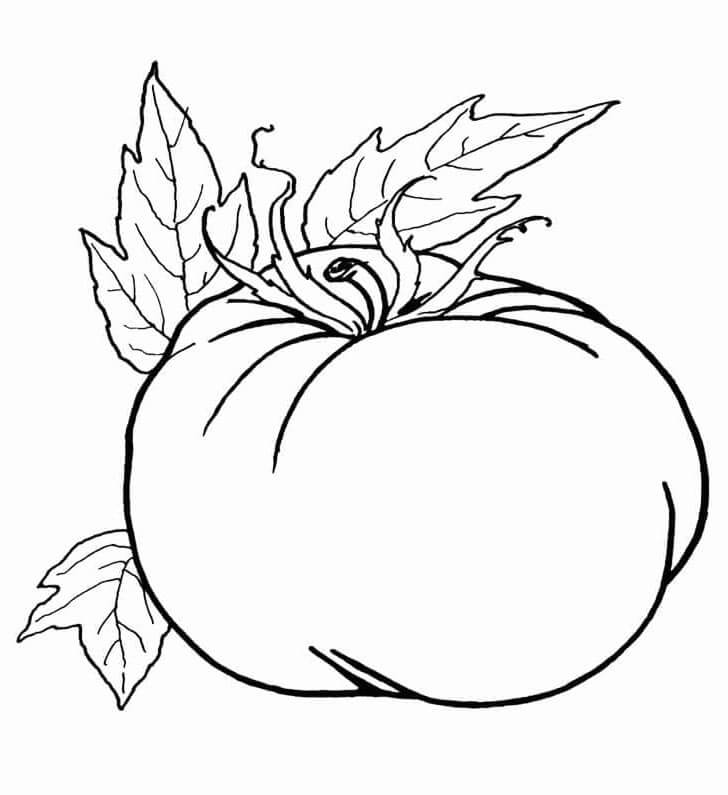 Pomodoro per Bambini da colorare