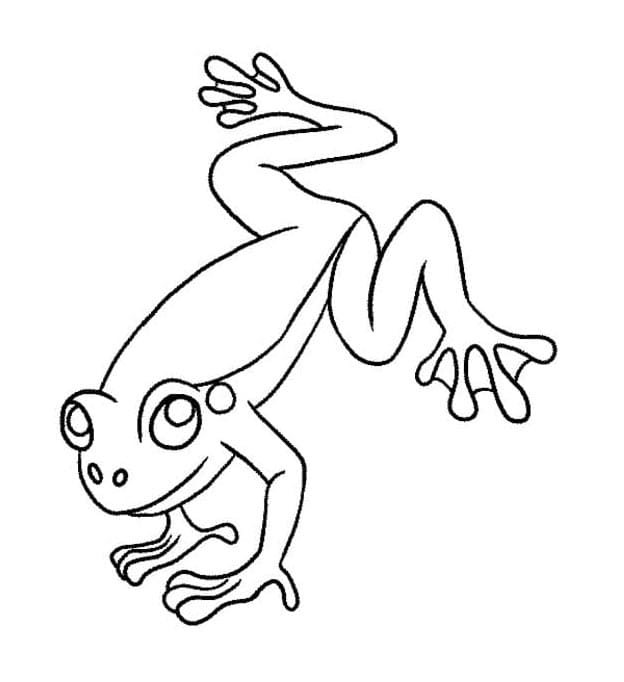 Rana Gratuita da colorare