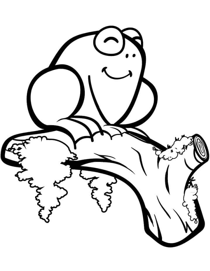 Rana per Bambini da colorare