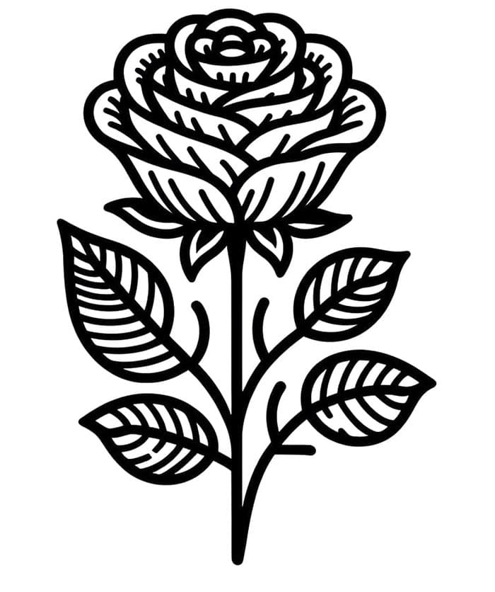 Rosa Facile da colorare