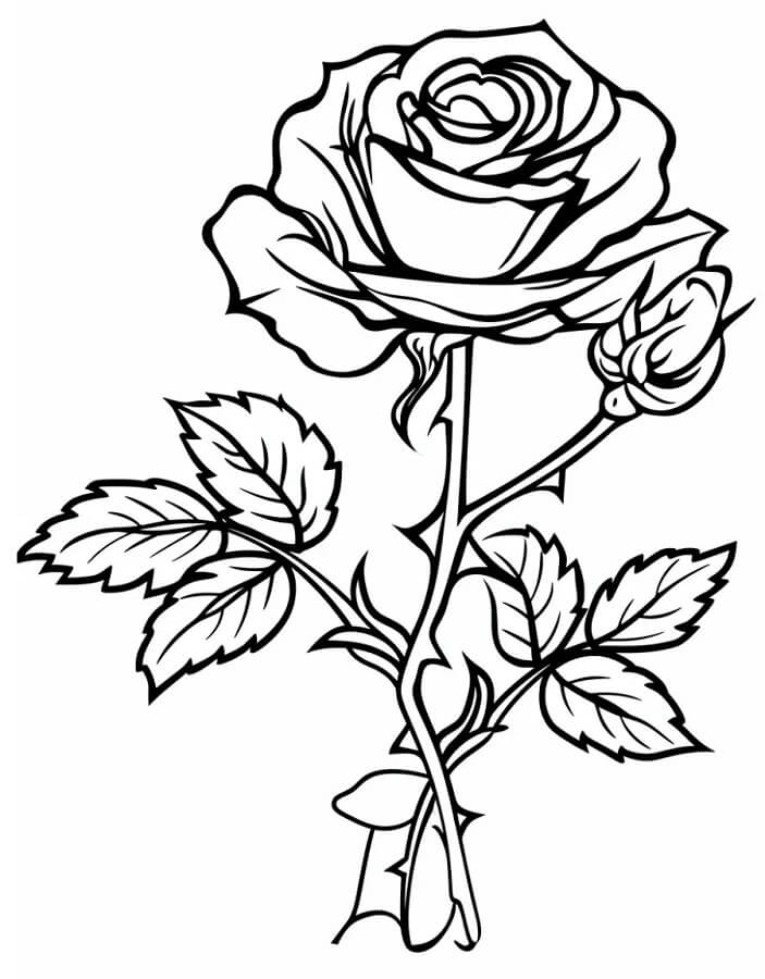 Rosa Gratuito per Bambini da colorare