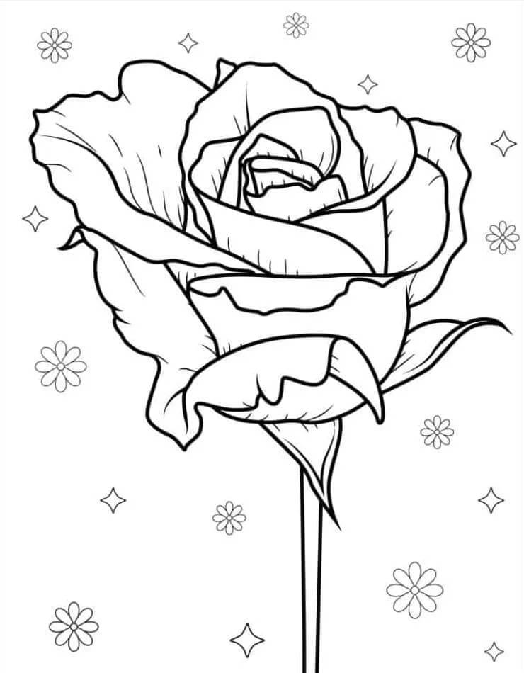 Rosa per Bambini di 1 Anno da colorare