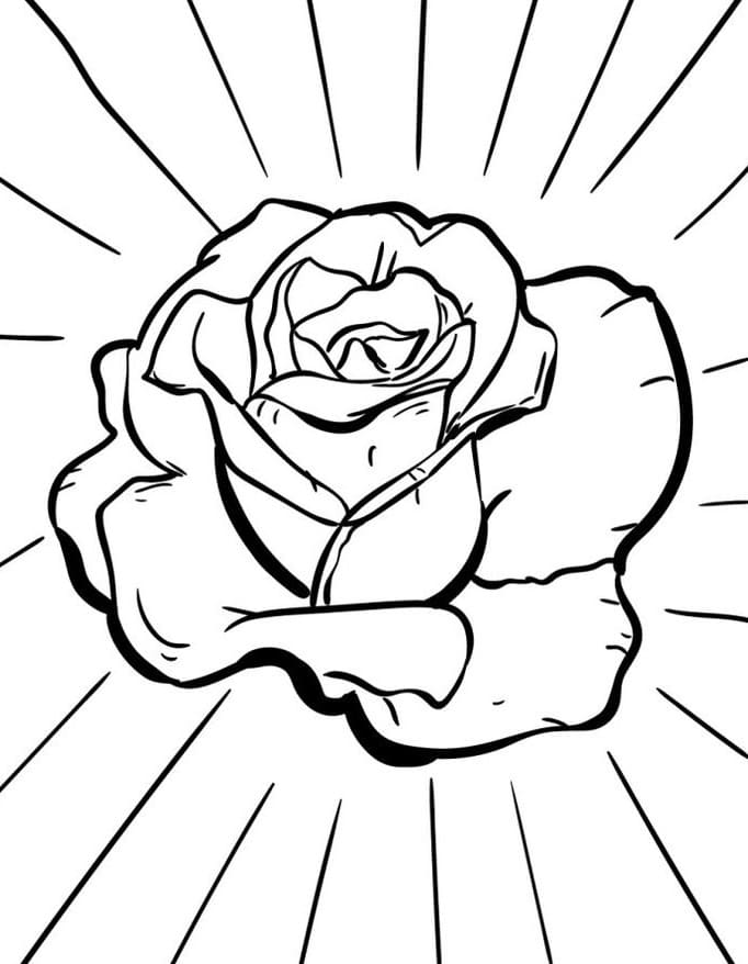Rosa da colorare