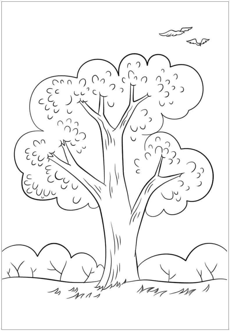 Scena Estiva da colorare