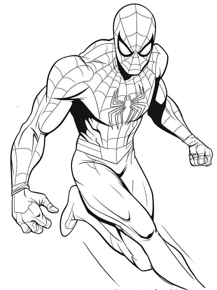 Spiderman Avengers da colorare