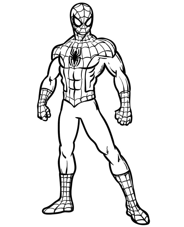 Spiderman Bello da colorare