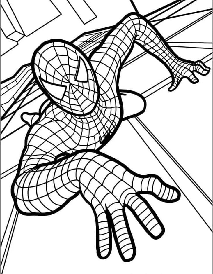 Spiderman Cartone da colorare