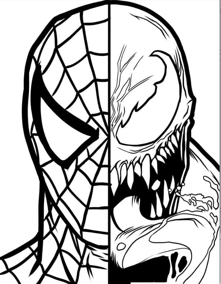 Spiderman Marvel da colorare