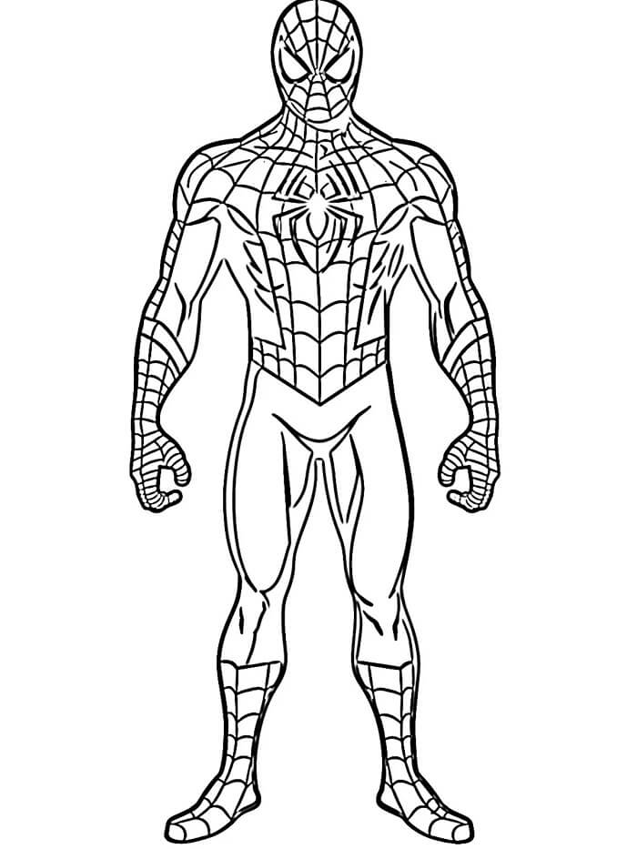 Spiderman Stampabile Gratis da colorare