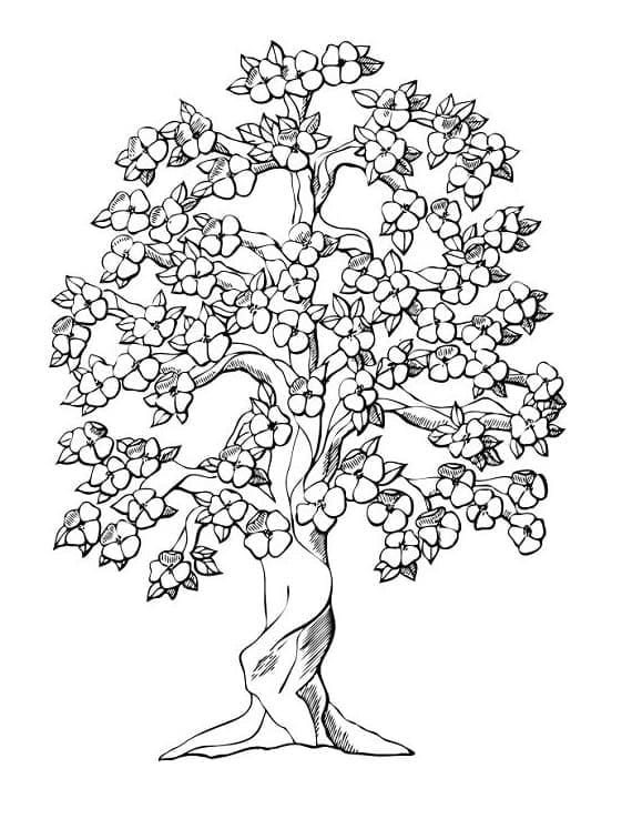 Stagione di Primavera da colorare