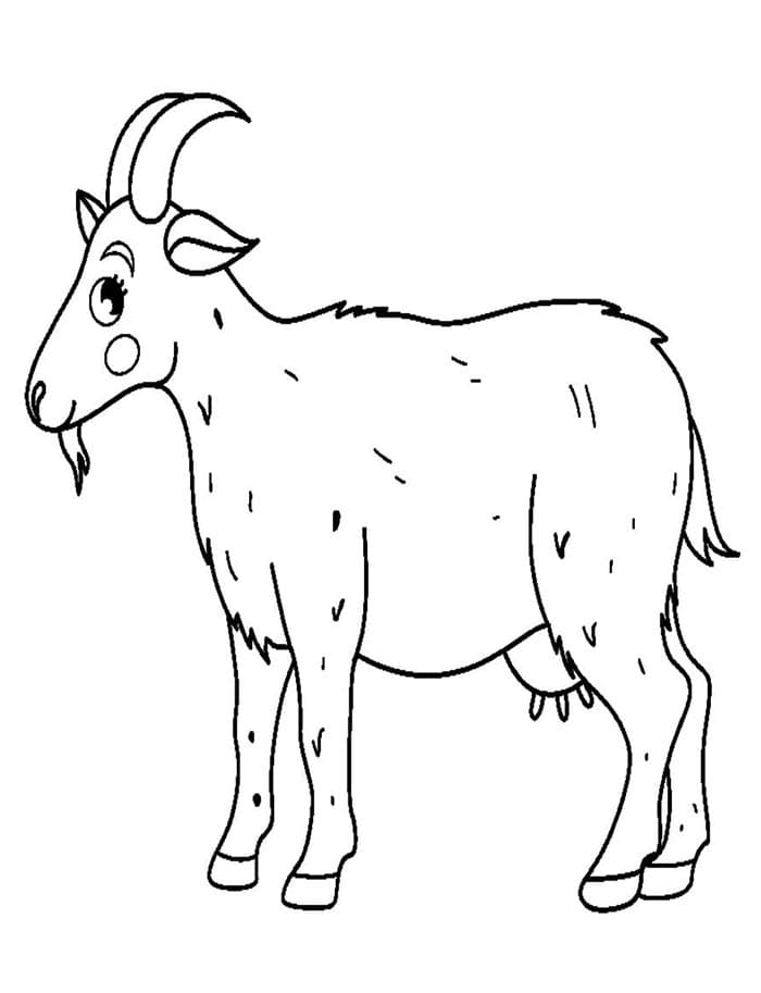 Stampa Capra da colorare