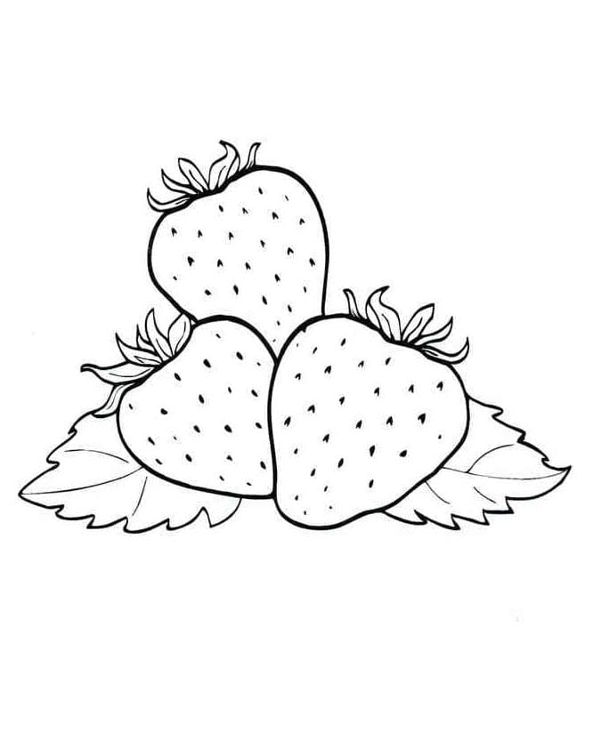 Stampa Fragola da colorare