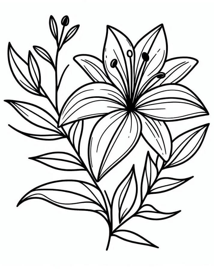 Stampa Giglio da colorare
