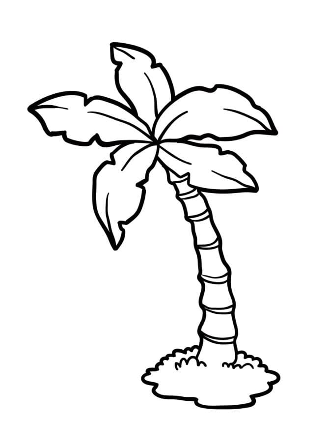 Stampa Palma da colorare
