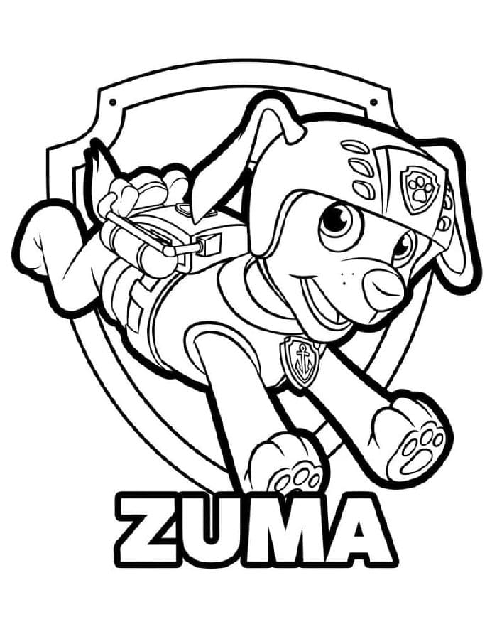 Stampa Paw Patrol da colorare