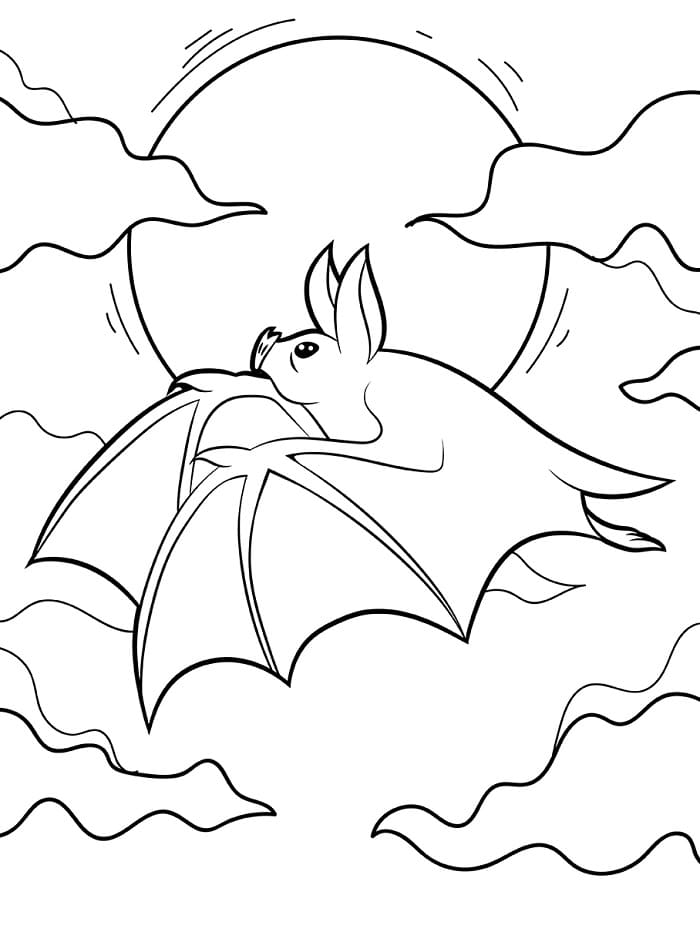 Stampa Pipistrello da colorare