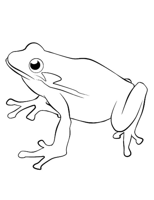 Stampa Rana da colorare