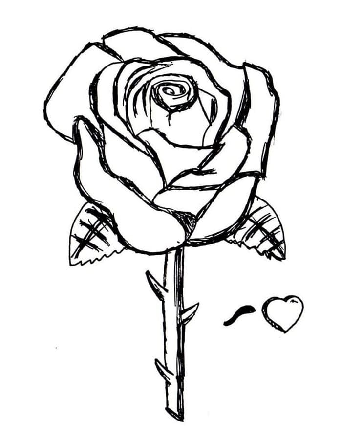 Stampa Rosa da colorare