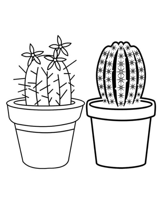 Stampabile Libero Cactus da colorare