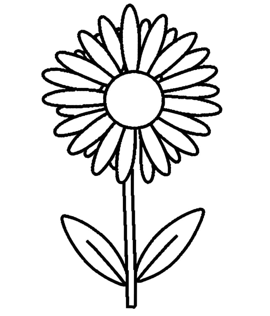 Stampabile Libero Fiore da colorare