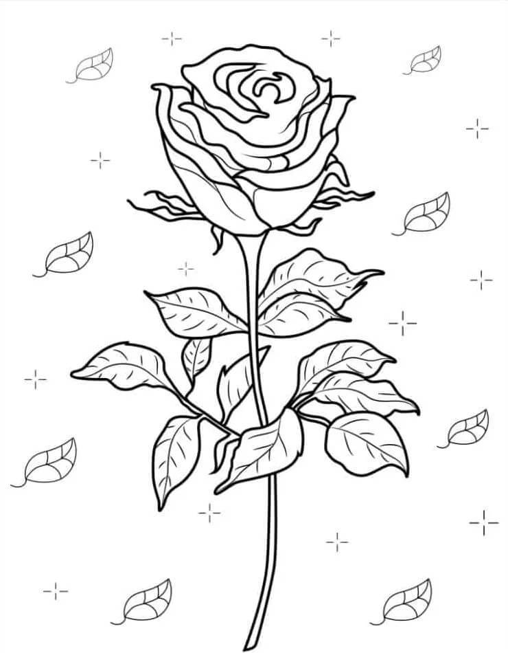 Stampabile Libero Rosa da colorare